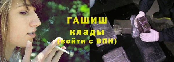 PSILOCYBIN Аркадак