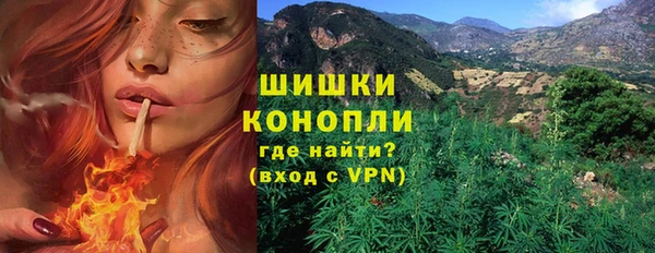 PSILOCYBIN Аркадак