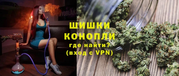 PSILOCYBIN Аркадак