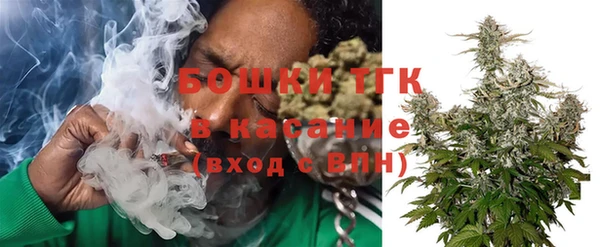 PSILOCYBIN Аркадак