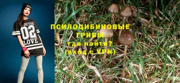 PSILOCYBIN Аркадак