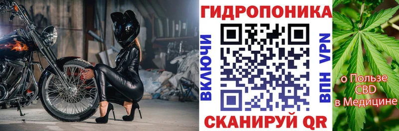 Марихуана сатива  Талдом 